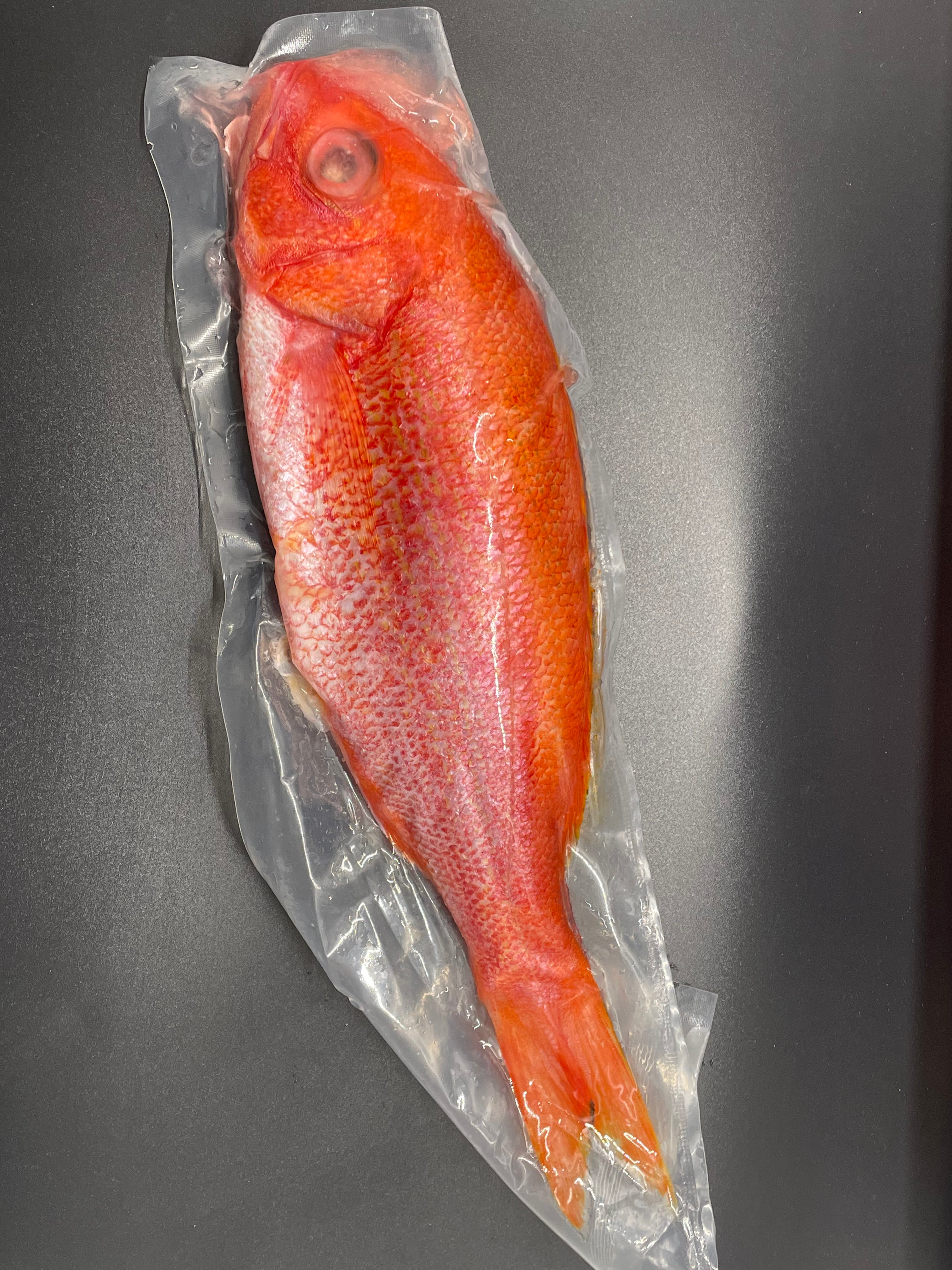 Snapper Packaged whole snapper 10lbs – thefishplug